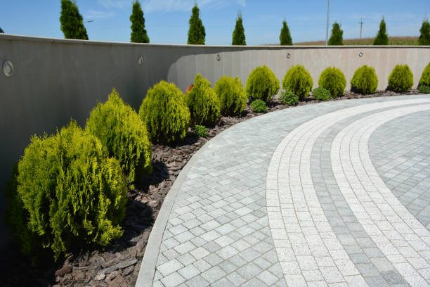 Best Professional Driveway Pavers  in Cold Spring, MN