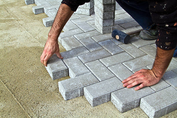 Best Best Driveway Pavers  in Cold Spring, MN